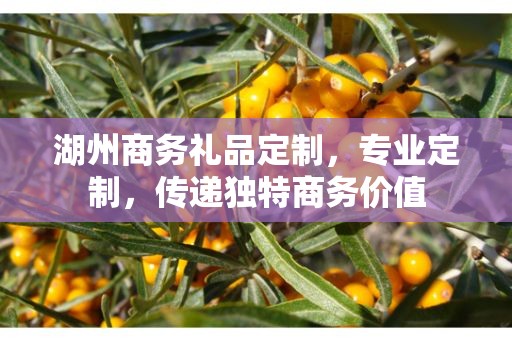 湖州商务礼品定制，专业定制，传递独特商务价值
